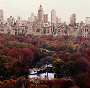 new-york-city-fall_2.jpg